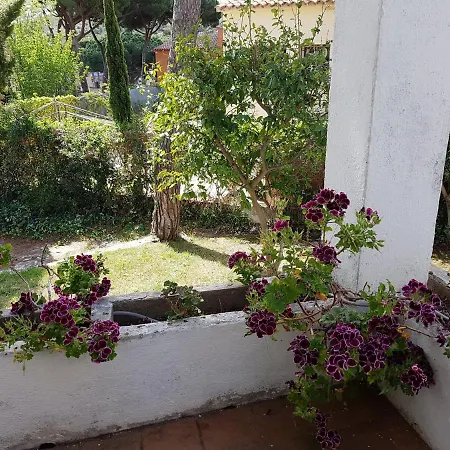 Torre Les Alzines Σπίτι διακοπών *